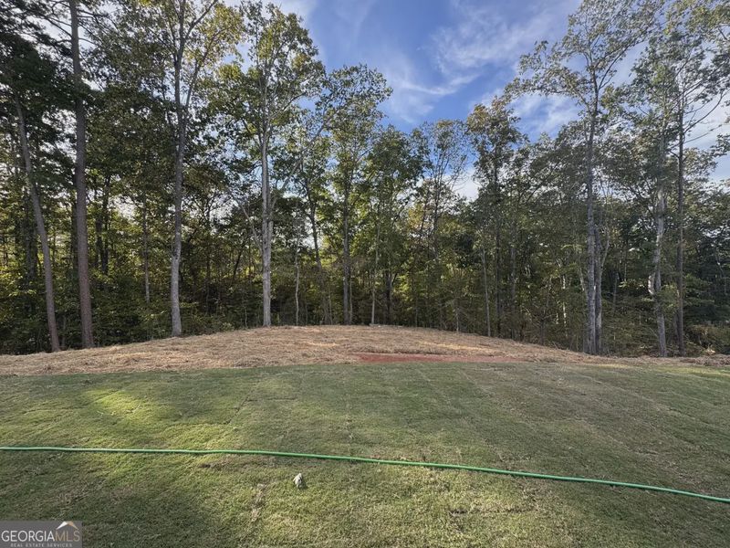 Natural landscape and outdoor views near Tuscany Hills in Douglasville (Image 31). Natural landscape and outdoor views near Tuscany Hills in Douglasville (Image 31).