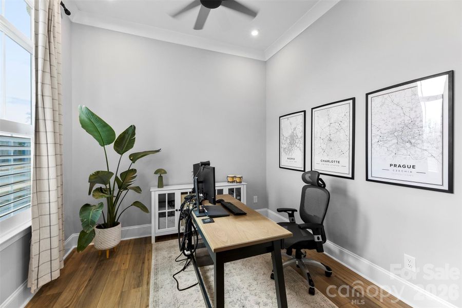 Furnished interior view inside a new home in , Belmont (Image 5).