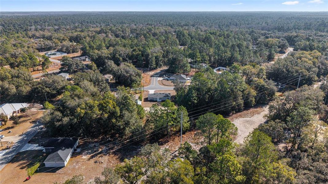 Natural landscape and outdoor views near  in Ocala (Image 37).