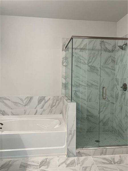 Furnished interior view inside a new home in , Gainesville (Image 48). Furnished interior view inside a new home in , Gainesville (Image 48).