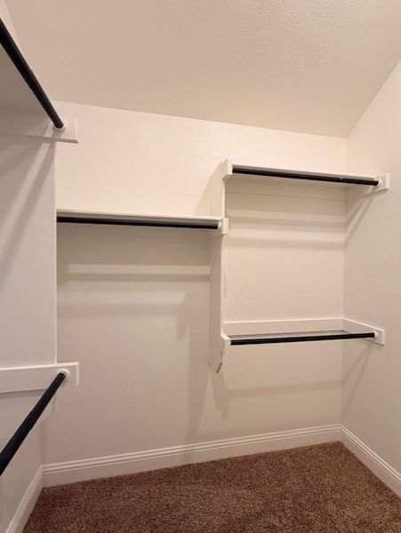 Furnished interior view inside a new home in , Venus (Image 10).