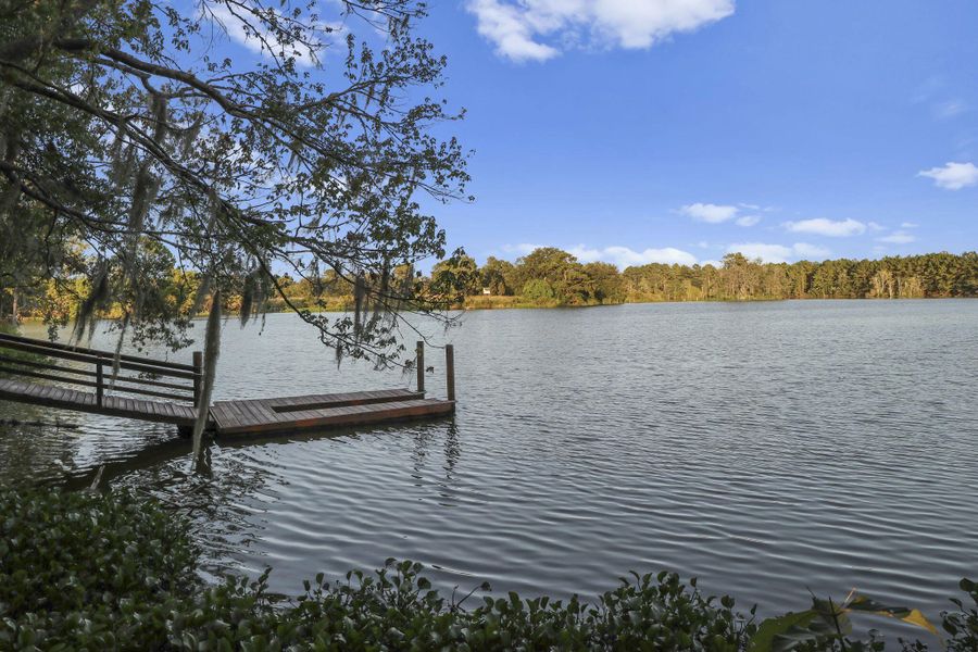 Natural landscape and outdoor views near  in Summerville (Image 75).