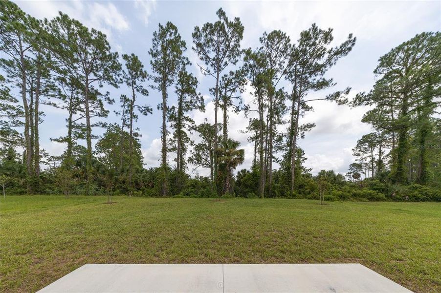 Natural landscape and outdoor views near Palm Coast in Palm Coast (Image 24). Natural landscape and outdoor views near Palm Coast in Palm Coast (Image 24).