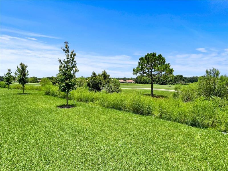 Natural landscape and outdoor views near  in Davenport (Image 37).