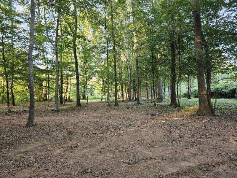 Natural landscape and outdoor views near  in Bowdon (Image 43).