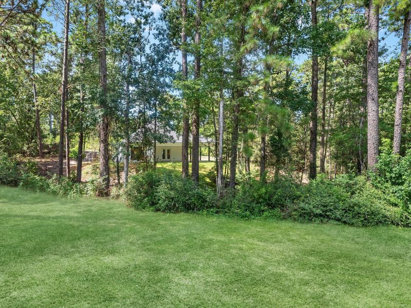 Natural landscape and outdoor views near  in Brookeland (Image 32).