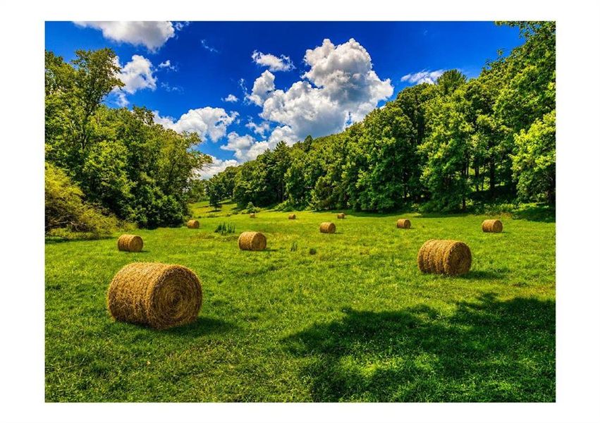 Natural landscape and outdoor views near in Ellijay (Image 133). Natural landscape and outdoor views near in Ellijay (Image 133).