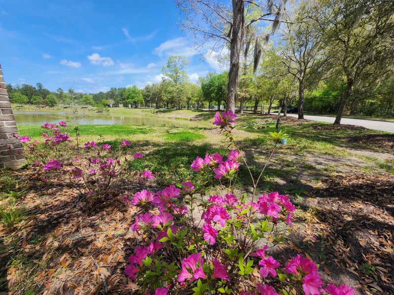 Natural landscape and outdoor views near Rivers Reach in Yemassee (Image 40). Natural landscape and outdoor views near Rivers Reach in Yemassee (Image 40).