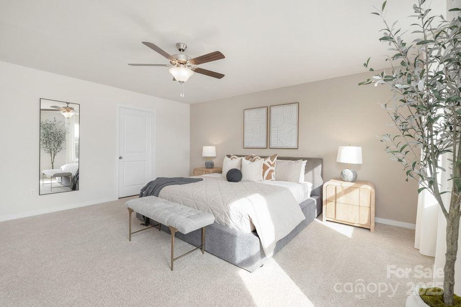 Photos are representative