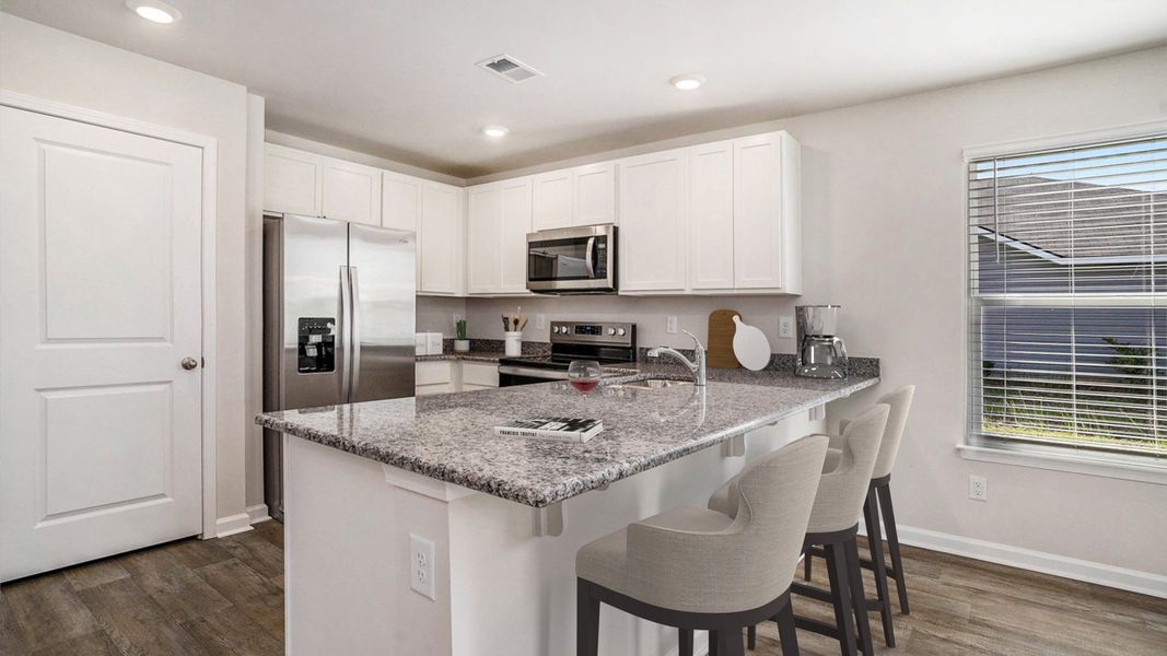Furnished interior view inside a new home in Jordanville Farms, Galivants Ferry (Image 4).