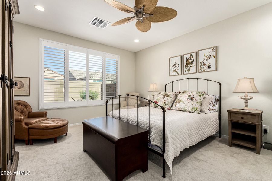 27-Cactus Wren 27-Cactus Wren