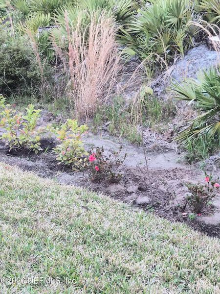 Natural landscape and outdoor views near Condo Collection at Grand Vue at Interlocken in Fernandina Beach (Image 31).