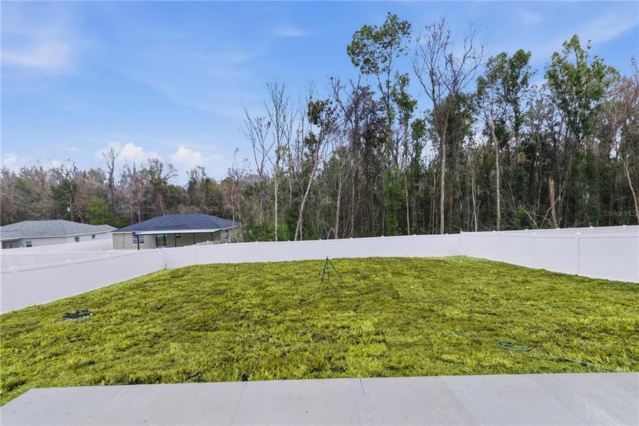 Natural landscape and outdoor views near  in Belleview (Image 24).