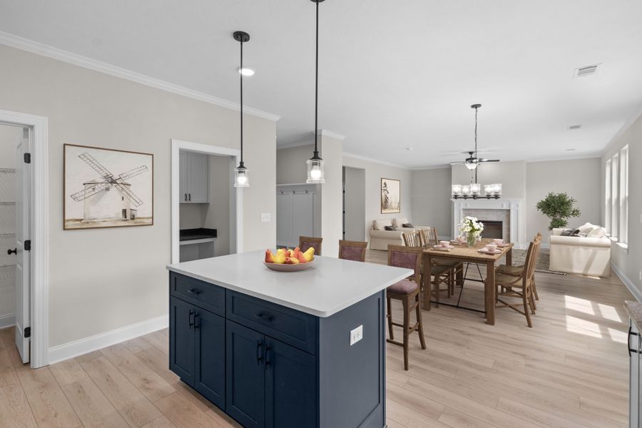 Furnished interior view inside a new home in Windsor, North Augusta (Image 5).