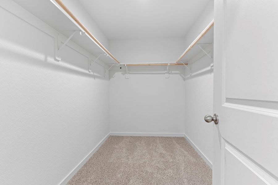 *Images and 3D tour are for illustration only and options may vary from home as built.