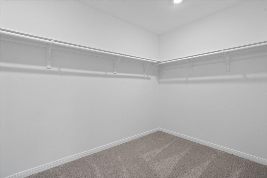 Look at this immaculate closet! With high shelving, multiple rows to hang clothing, you are sure to have enough room for all your belongings!