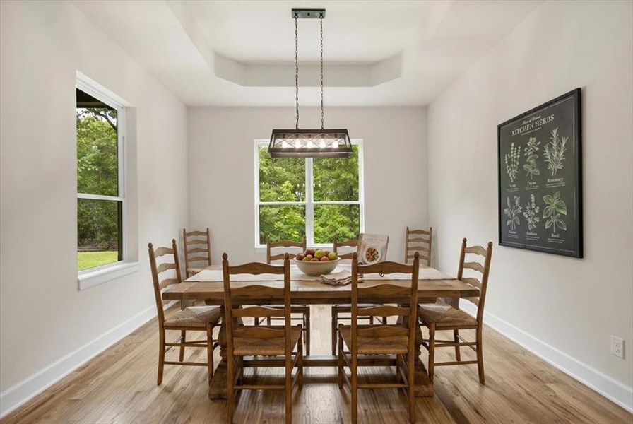 Furnished interior view inside a new home in , Mineola (Image 9).