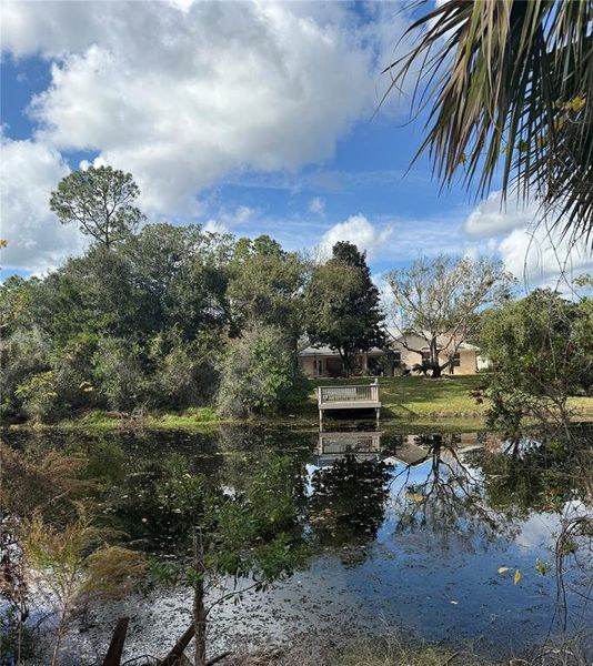 Natural landscape and outdoor views near in Palm Coast (Image 19). Natural landscape and outdoor views near in Palm Coast (Image 19).