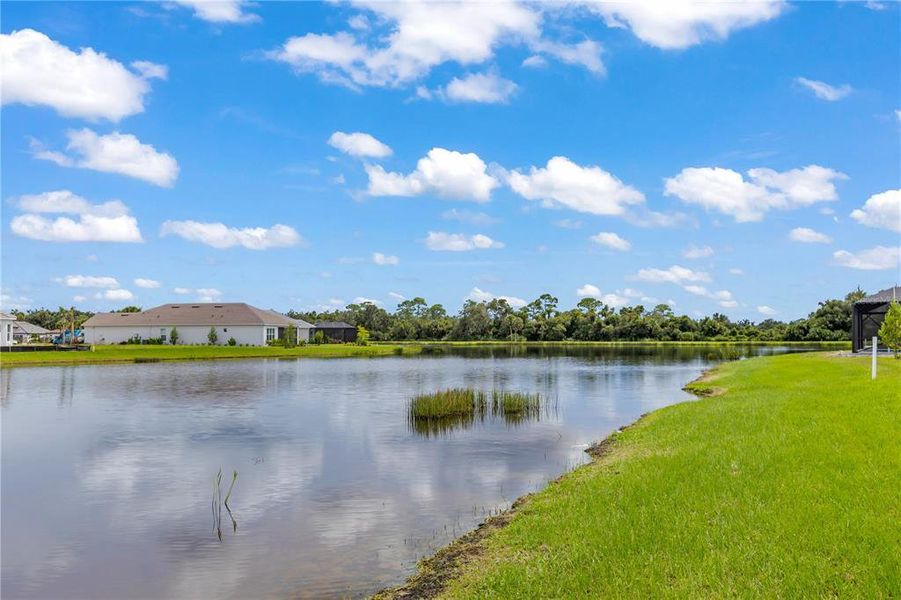 Natural landscape and outdoor views near  in Sarasota (Image 38).