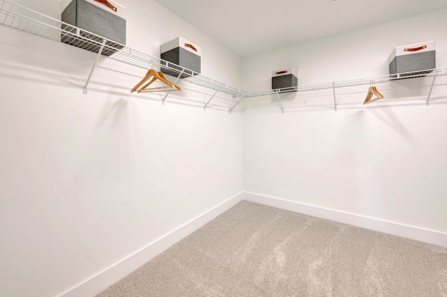Shenandoah Model Home - Owner's Walk-In Closet