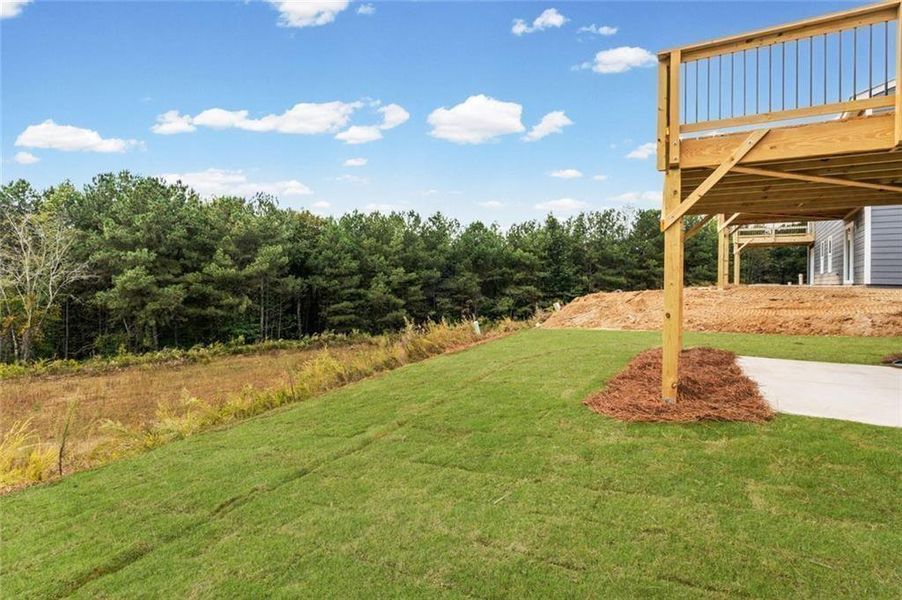 Exterior details and patio area of a home in Villas at Gold Creek, Dawsonville (Image 26).