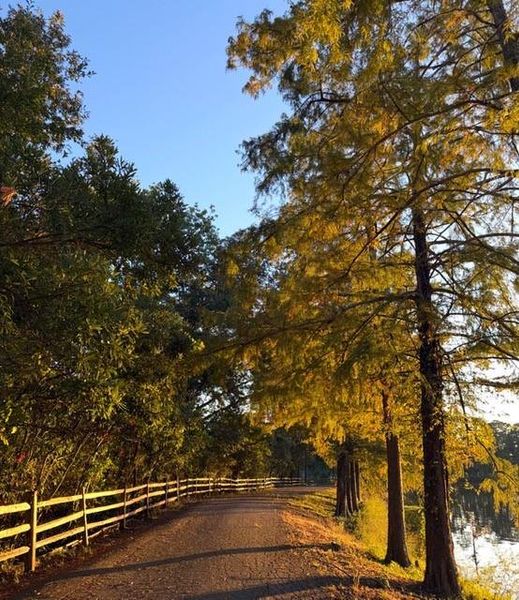 WELCOME HOME Tranquil Walking trails WELCOME HOME Tranquil Walking trails