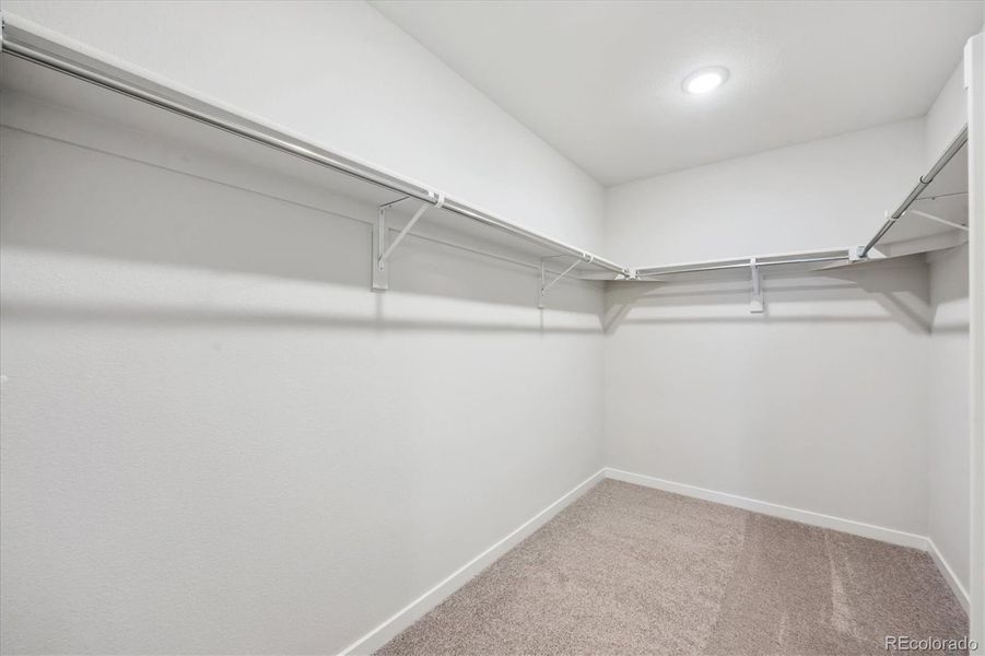 Spacious, unfurnished interior of a new home in Sweetgrass, Dacono (Image 19).