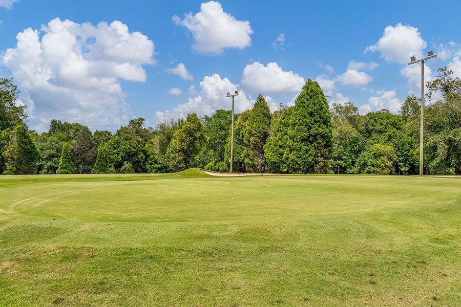 Natural landscape and outdoor views near  in Moncks Corner (Image 34).
