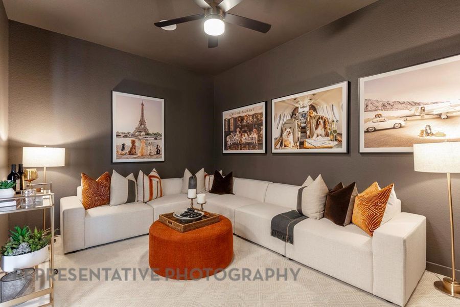 Entertainment Room Entertainment Room