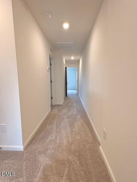 Pic 15