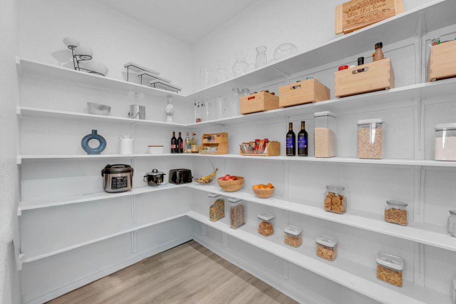 Close-up of interior finishes inside a home in Seasons at Carillon, Manor (Image 20).