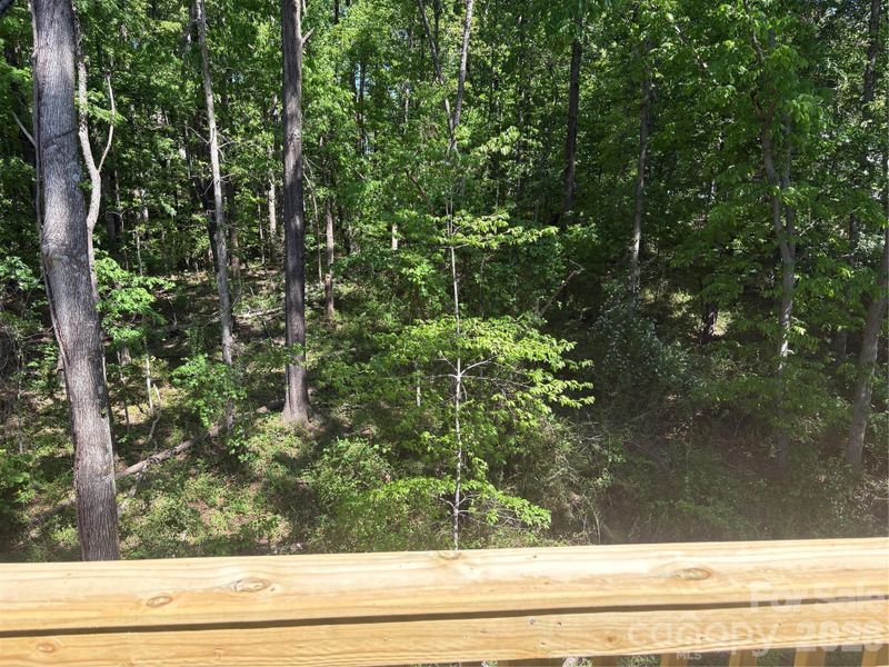 Natural landscape and outdoor views near  in Gastonia (Image 23).