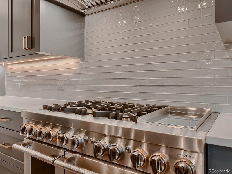 Thoughtfully elevated from the start, standard finishes include professional-grade 48-inch dual-fuel ranges and full-height refrigeration and freezer columns—bringing both performance and polished design into the heart of the home.