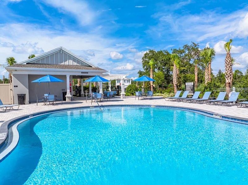 Community amenities in Palm Wind, Hudson (Image 35).