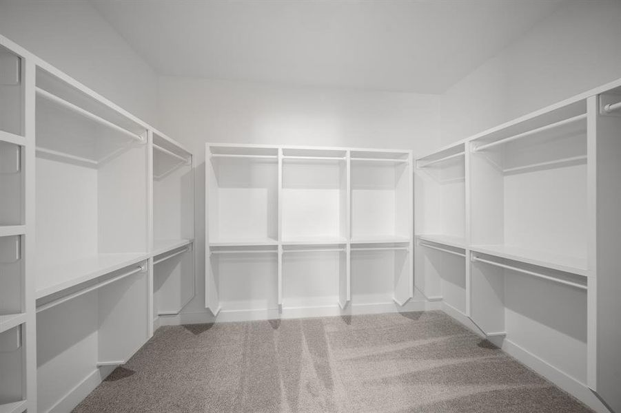 Walk in closet with light colored carpet