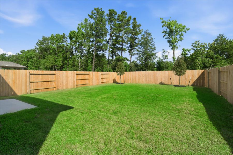 The expansive green lawn offers a picturesque setting, backing up directly to a stunning wall of tall, tranquil pines. The expansive green lawn offers a picturesque setting, backing up directly to a stunning wall of tall, tranquil pines.