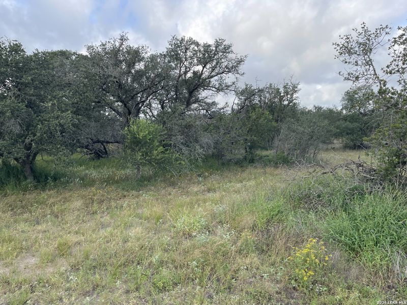 Natural landscape and outdoor views near in Devine (Image 7). Natural landscape and outdoor views near in Devine (Image 7).