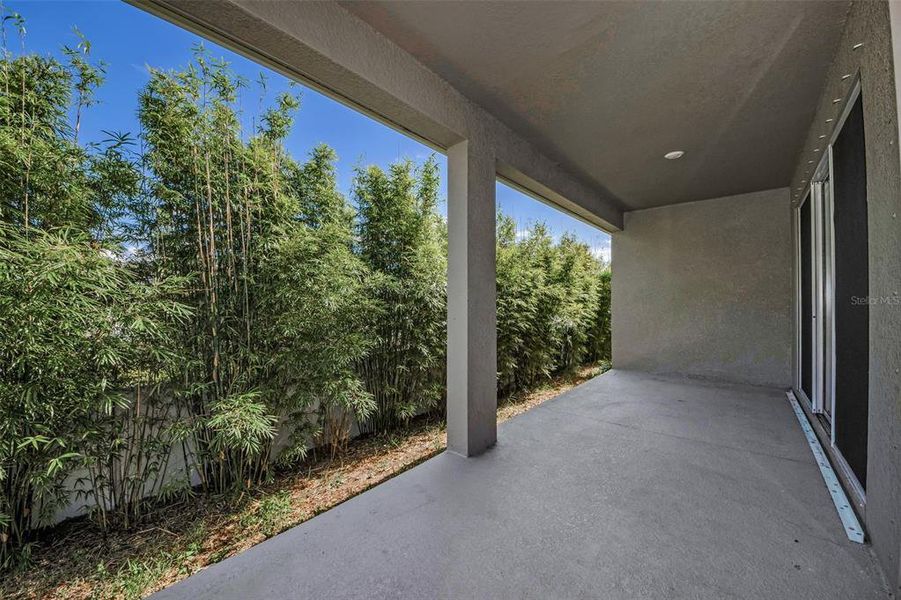 Exterior details and patio area of a home in Eagle Creek - Garden Series, Tarpon Springs (Image 4).