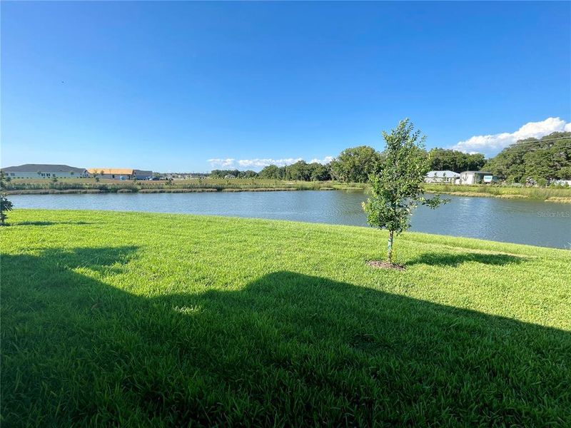 Natural landscape and outdoor views near  in Parrish (Image 44).