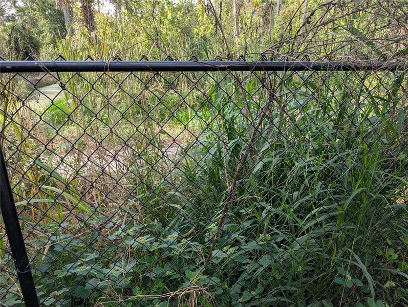 Natural landscape and outdoor views near  in Davenport (Image 64).