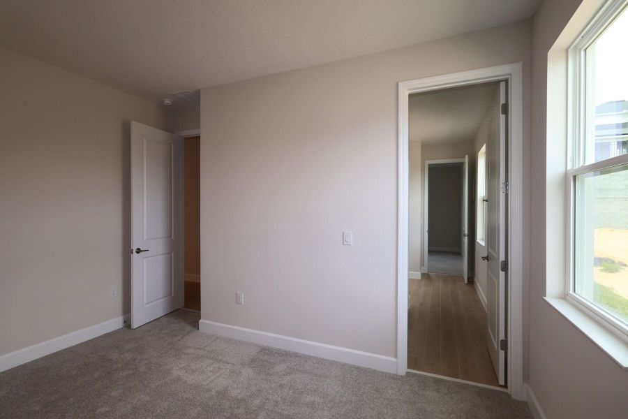 Bedroom Bedroom
