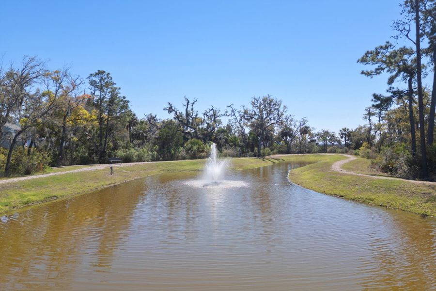 Natural landscape and outdoor views near  in Beaufort (Image 22).
