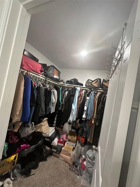 Spacious closet with carpet flooring