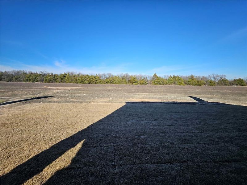 Site preparation for new homesites in Trails of Trenton, Trenton (Image 24).