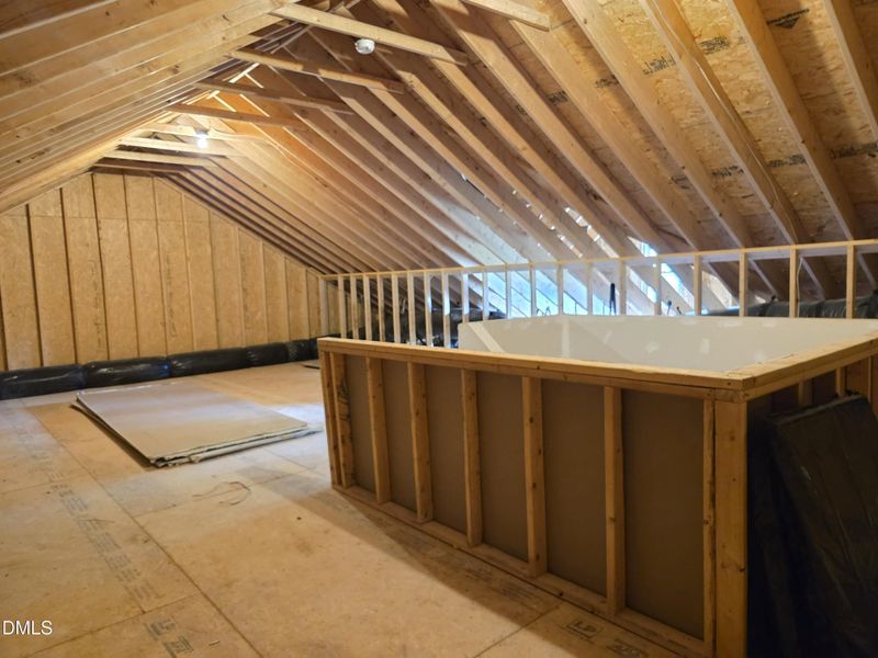 Unfinished Attic