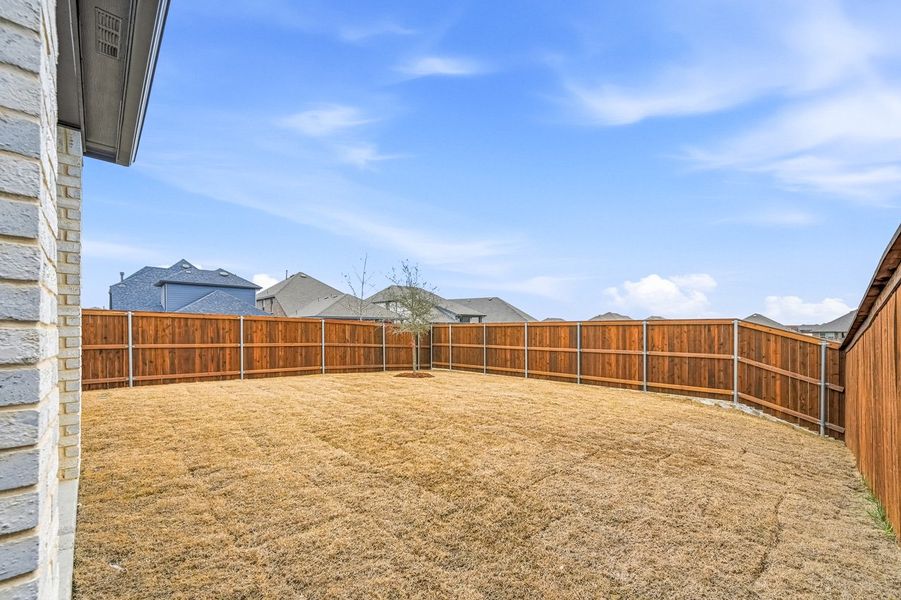Backyard Backyard