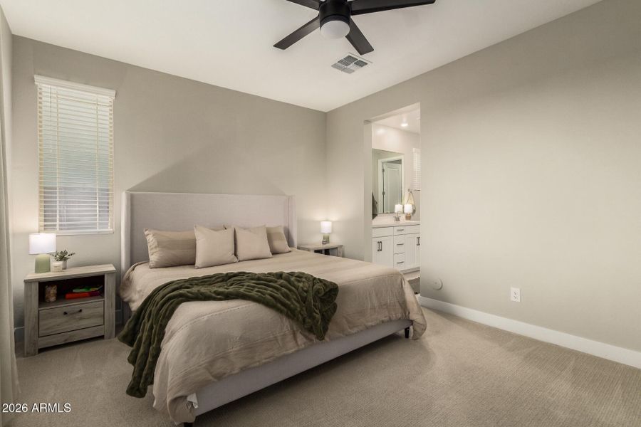 15-Wollemi 15-Wollemi