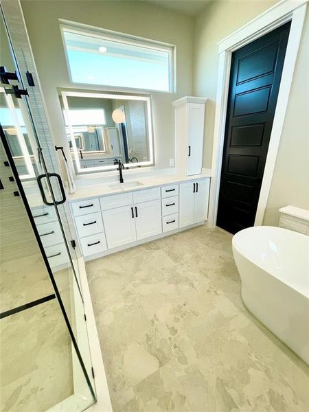 master bathroom with vanity, a stall shower, and a freestanding bath