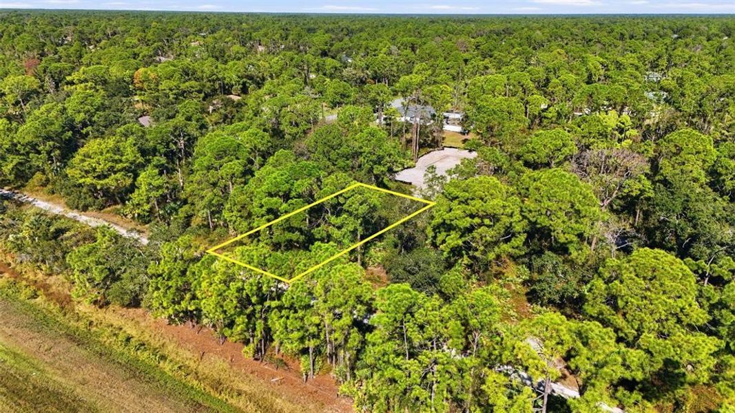 Natural landscape and outdoor views near in North Port (Image 7). Natural landscape and outdoor views near in North Port (Image 7).