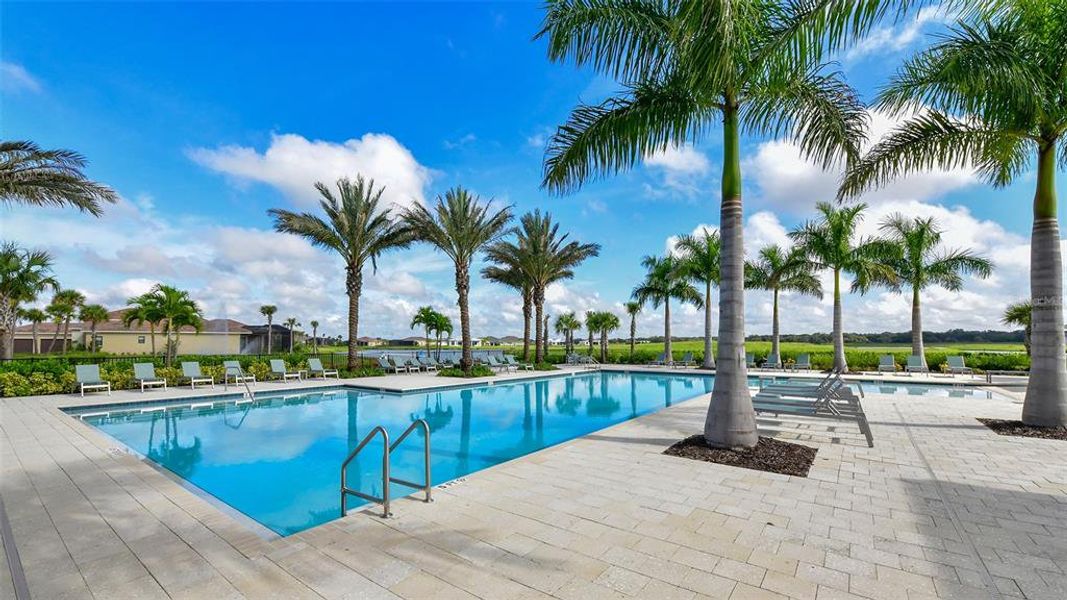 Community amenities in , Sarasota (Image 74).